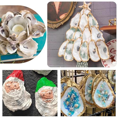 Conchas de ostras naturales cóncavas y planas de gran tamaño decorativas 3