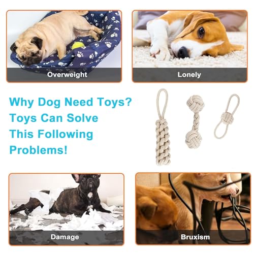 Bull Tiger Prestige 3 Stück Hundespielzeug Seil, Zerrspielzeug für Hunde aus Natürlicher Baumwolle, Interaktive Kauen Spielzeug mit Knoten Ball, Hundeseil Spielzeug für Mittelgroße Hunde kleine