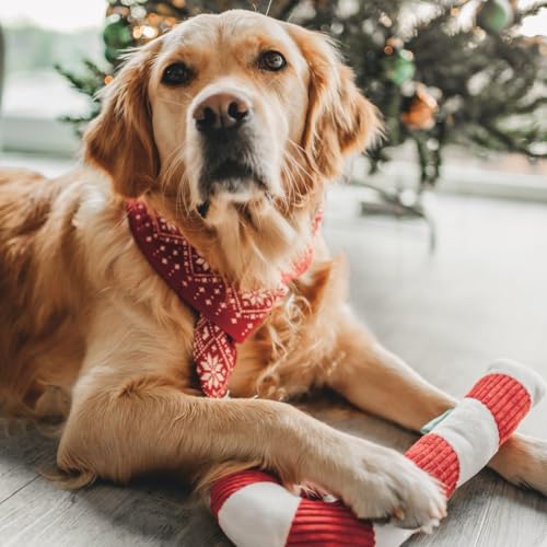 Beeztees Weihnachtsspielzeug I Zuckerstangen Plüschtier I Xmas/Weihnachten I 50 cm