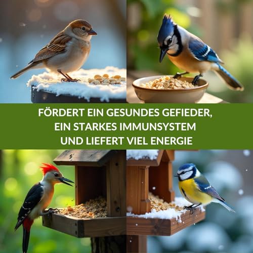 Fettfutter Vogelfutter für Wildvögel – Ganzjähriges Mischfutter mit hohem Fettgehalt, ideales Streufutter für 4 Jahreszeiten (25 kg)