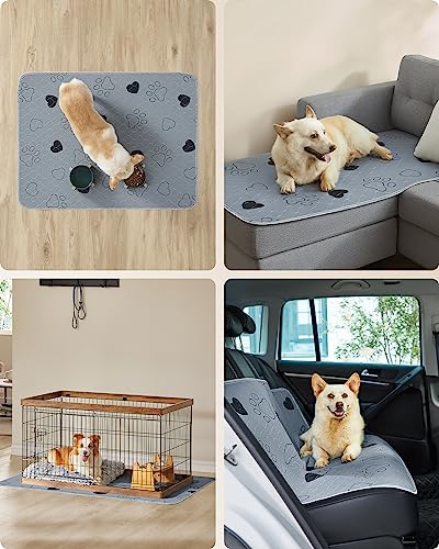 Feandrea Welpen-Unterlagen waschbar, Wiederverwendbare Matten für Hunde, 122 x 91 cm, 2er Set, XL, Hundetoilette, auslaufsicher, rutschfest, super saugfähig, grau PTD036G01