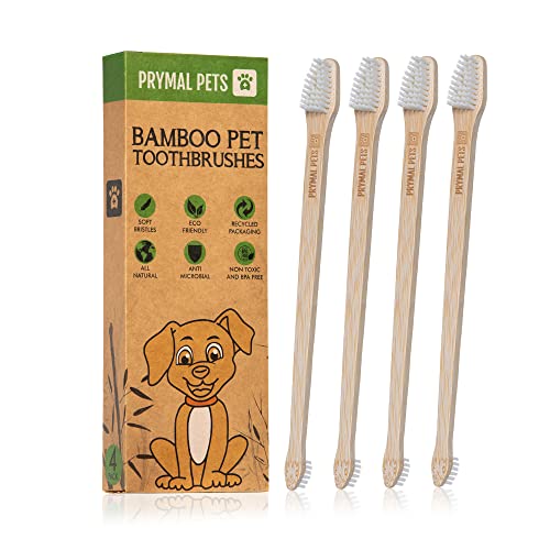 Top 5 Best Dog Toothbrushes for Doodles Our Cavapoo