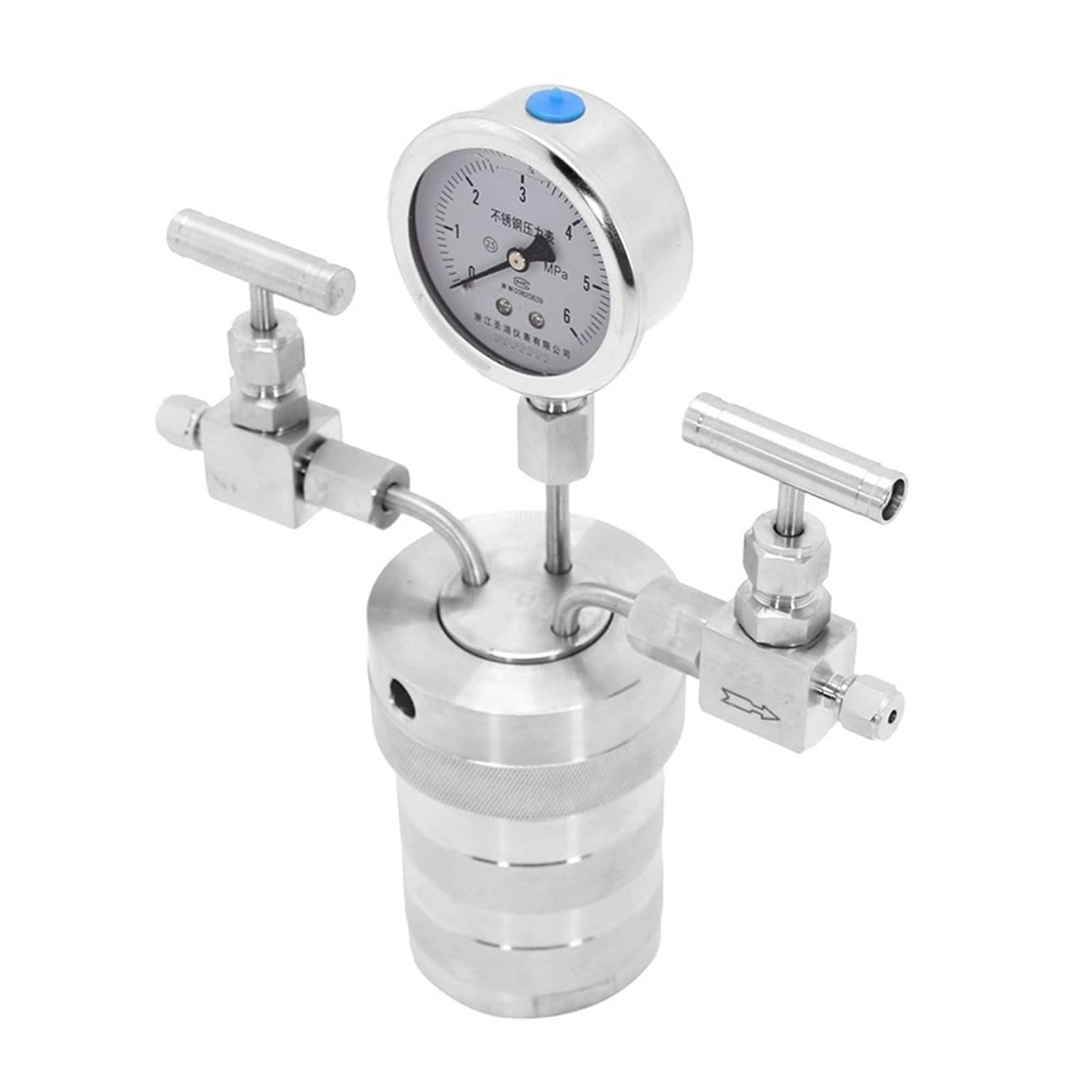 Autoklavreaktor for die hydrothermale Synthese mit PTFE-Auskleidung und Druckmesser – Laborausrüstung for Gasreaktionen(100mL)