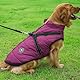 Voarge Hundejacke Winterweste Jacken, Hundemantel mit Geschirr für Kleine Hunde Hundemantel Wasserdicht Maschinen Waschbarer Reflektierender Streifen Design Haltbarer D-Ring (M, Lila)