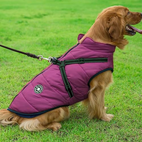 Voarge Hundejacke Winterweste Jacken, Hundemantel mit Geschirr für Kleine Hunde Hundemantel Wasserdicht Maschinen Waschbarer Reflektierender Streifen Design Haltbarer D-Ring (Lila, M)