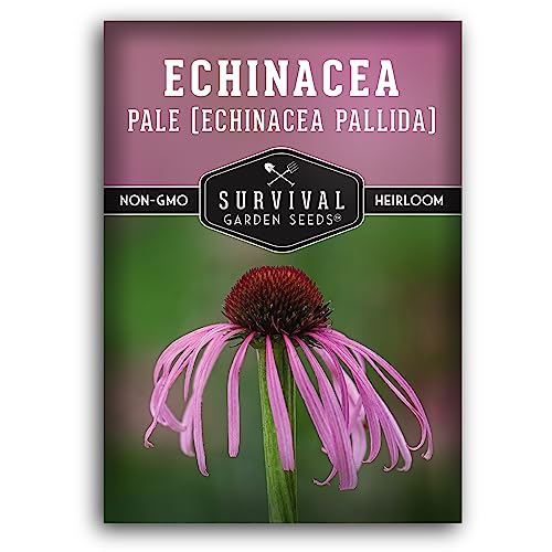 Survival Garden Seeds Pale Purple Coneflower Seeds for Planting - 1 Packet with Instructions for Growing Lavender-Pink Echinacea Pallida in Your Flower Garden - Non-GMO Heirloom Native Wildflower