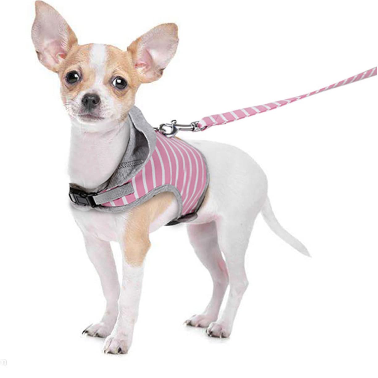 FRCOLOR 3stücke Katzen Geschirr Mit Leine No-Pull Weste Für Outdoor-aktivitäten Komfortabel Und Sicher Für Katzen Für Und Abenteuer