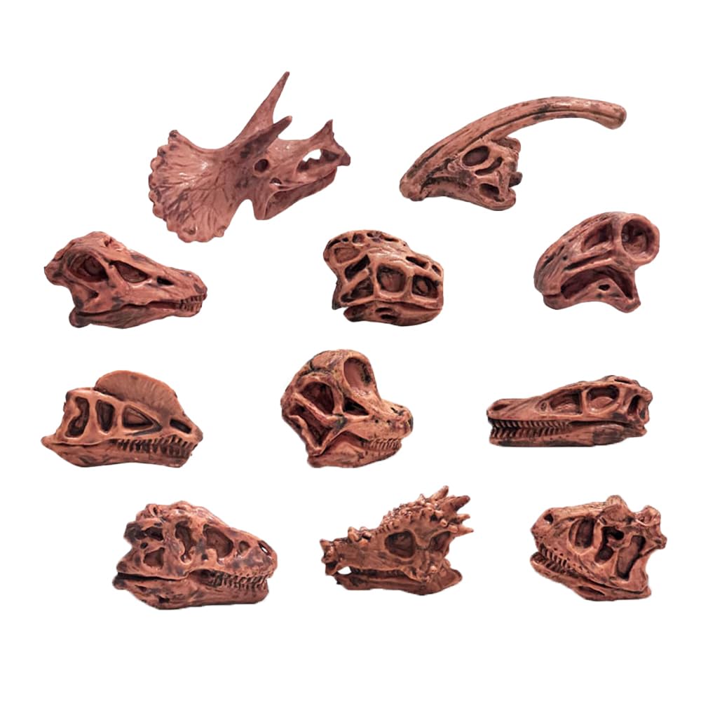 11CPS Mini szkielet g?owy dinozaura, prehistoryczna czaszka zwierz? piaskownica g?owa dinozaura model zestaw - br?zowy