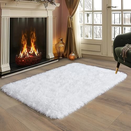 Shaggy Rugs for Bedroom Living Room Dorm Kids Room Decor, Soft Modern Indoor Fluffy Shag Area Rug, Non-Slip Fuzzy Floor Carpet 2x3 Feet, Cute Small Rectangle Plush Rug, White