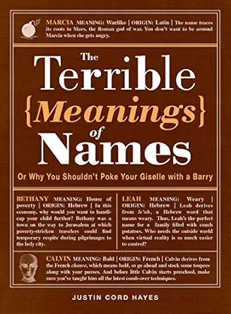 The Terrible Meanings of Names: Or Why You Shouldn't Poke Your Giselle with a Barry-Wow! eBook