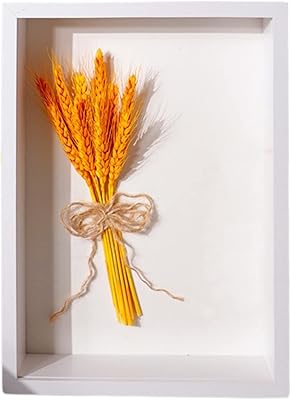 Wnvivi 8 x 10 Inch Shadow Box Dry Flower Frame,3D Wooden Shadow Box Display Case,DIY Crafts Dry Flower Display Frame for Home Holiday Decor-White