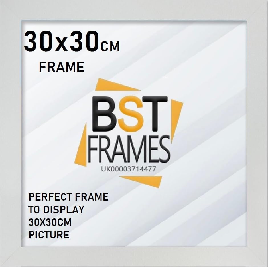 Modern 30x30 Frame With Safe Perspex Front & Wall Hanging Hooks Use