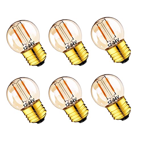 LDCHIUEN 12 Volt Low Voltage LED Light Bulbs - Soft Warm 2200K 1W (Only for 12V -24V DC/AC)- 15W Equivalent E26 Edison Base Small Globe Bulb for RV, Landscape Lights, 6Pack