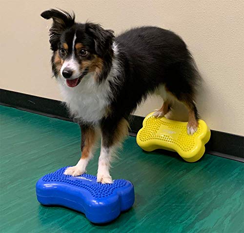 FitPAWS Dog Copenhagen Mini K9 Bone Instabilitätsscheibe für Propriozeption