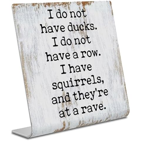 I Don't Have Ducks Humorous Office Gift for Coworker Men Women Teacher Boss Leader Plaque Desk Decor Office Shelf, Gag Gift for dad hubby Husband Wife Boyfriend Girlfriend XUV110 Cover