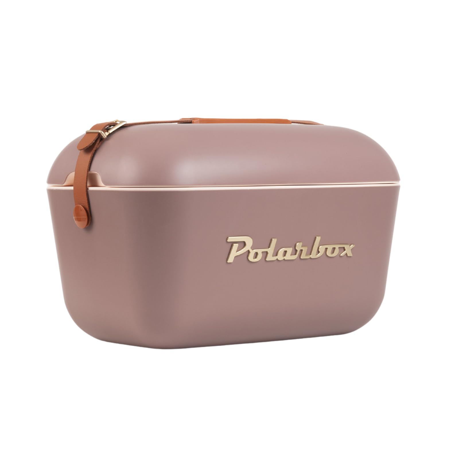 Retro Beach Cooler Vintage Picnic Lunch Box Bag Portable Cooler Travel Camping Hiking 90s Style Ice Chest