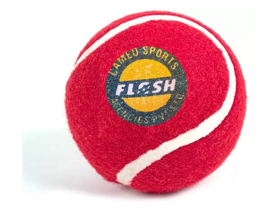 Flash Lightest Cricket Ball (Pack of 6) (B0CPTD9CYH) Amazon Price History, Amazon Price Tracker