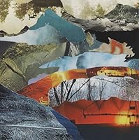 The Forest Is The Path [2 LP]