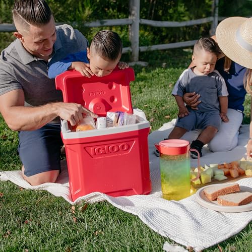 Igloo Profile II 16 Qt Cooler, Majestic Blue - image 8