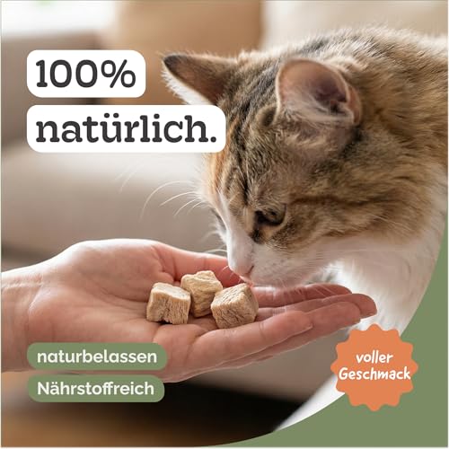 Hühnerbrustfilet Gefriergetrocknet für Hund und Katze, Proteinreich, Fettarm, Naturbelassen, Ohne Konservierungsstoffe, Premium Snack, Freeze Dried(1kg)