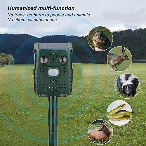 Encuentra reviews de Ahuyentador de insectos Top cinco. 26 Encuentra reviews de Ahuyentador de insectos Top cinco. 24