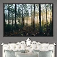 Framed Canvas Wall Art Rustic Woods Brown Dark Dramatic Forest Group Nature Photography Realism - 16x24 inches