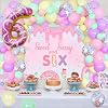 Amazon.com: Donut 6th Birthday Party Decorations Sweet Sassy and Six ...