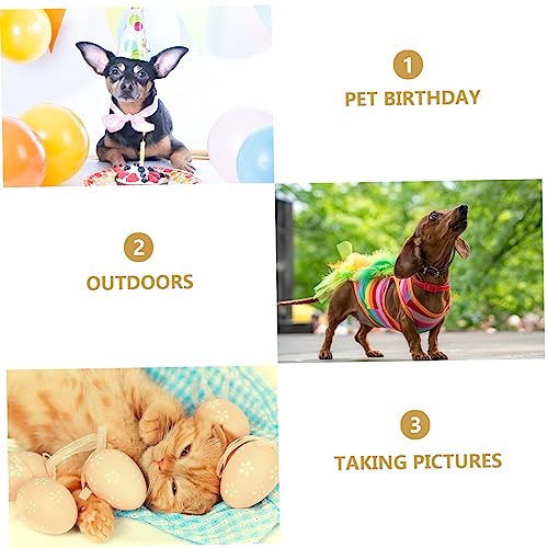 Accesorios para mascotas POPETPOP sombrero y lentes miniatura 6