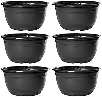 Kit 20 Vaso Cuia Para Produtor De Rosa Do Deserto Cacto e Suculenta 2,9 Litros de Plástico Reciclado Preto Nutriplan