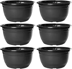 Kit 20 Vaso Cuia Para Produtor De Rosa Do Deserto Cacto e Suculenta 2,9 Litros de Plástico Reciclado Preto Nutriplan