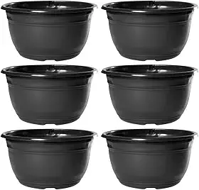 Kit 20 Vaso Cuia Para Produtor De Rosa Do Deserto Cacto e Suculenta 2,9 Litros de Plástico Reciclado Preto Nutriplan