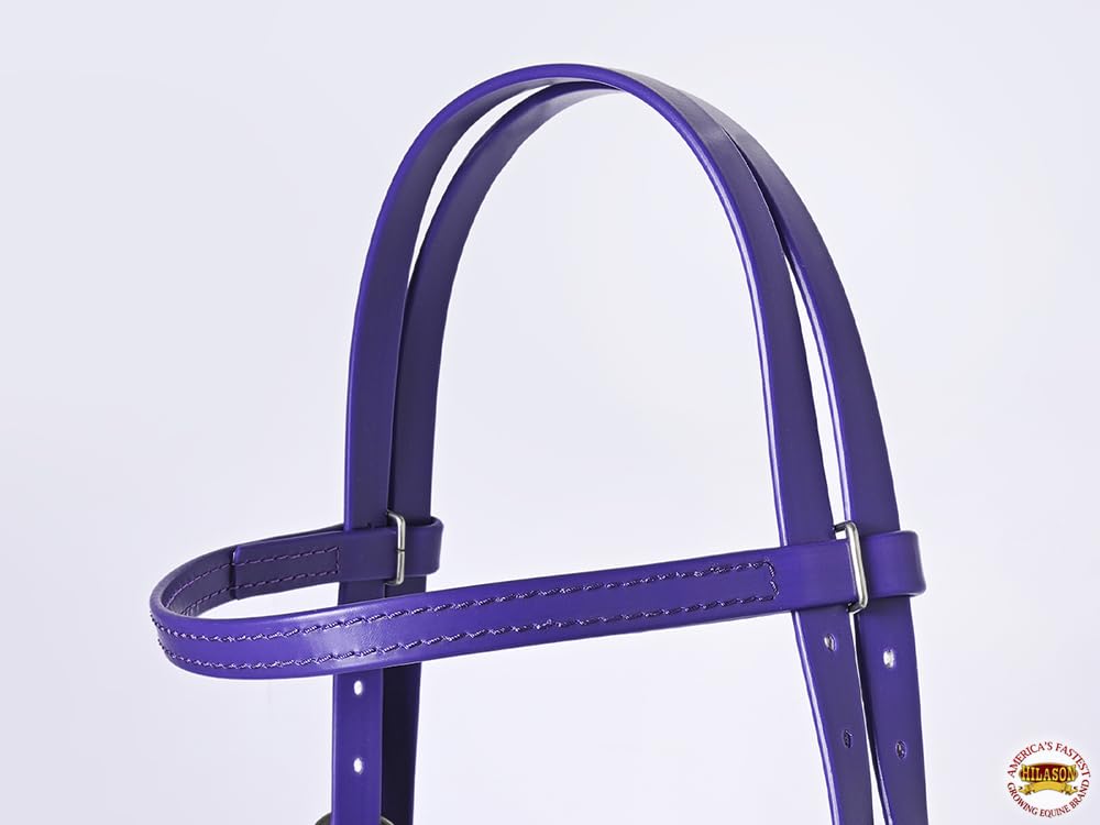 CHALLENGER Horse Western Pony Tan Leather Bridle Headstall Turquoise Stones 78RT22TN