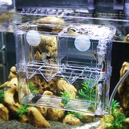 FGXY Aquariumvissen Fokdoos, Aquarium Fokken Isolatie Box, Multifunctionele Fokken Incubator Doos, Fokkerij Incubator… - Afbeelding 7