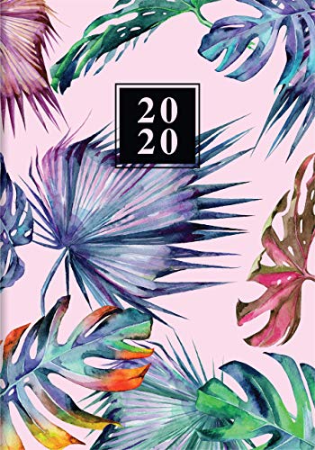 Télécharger Collins Enchanted Agenda 2020 1 jour par page Rose Format A5 Gratuit
