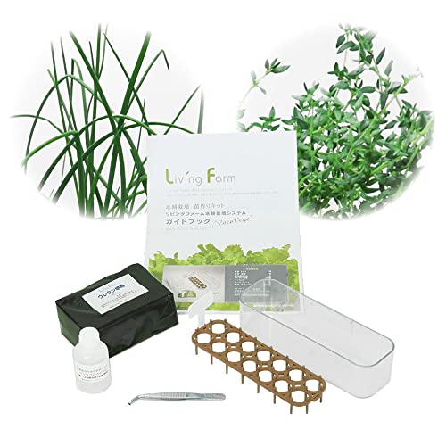 リビングファーム 水耕栽培 ハーブ タイムとチャイブ 苗作りキット (種子付き) ヘルシーハーブセット! 水耕栽培で2種類のハーブの種から水耕栽培で丈夫な苗を作るキット LFS-096-4のサムネイル