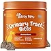 Zesty Paws Cranberry for Dogs - UT Incontinence Support + Immune Health Dog Antioxidant - Urinary Tract UTI & Kidney + Bladder Support - D-Mannose + Organic Marshmallow & Licorice - 90 Chew Treats