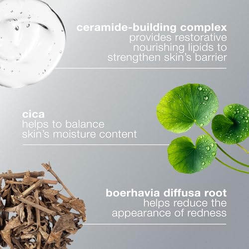 Dermalogica Stabilizing Repair Cream 100ml - Beruhigende Pflege für empfindliche Haut. Lindert Rötungen, Rosacea & stärkt die Hautbarriere.