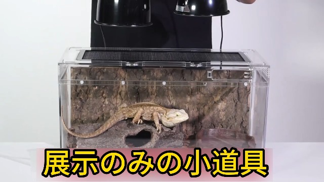 Amazon.co.jp: 爬虫類 ケージ レプタイルボックス グラステラリウム