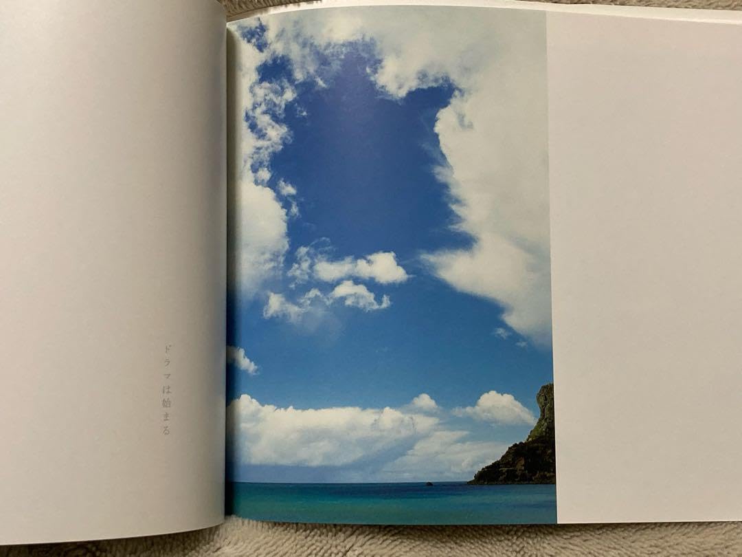Amazon.co.jp: カバー 初版 空を描く写真家 HABU 写真集 あの夏 羽生