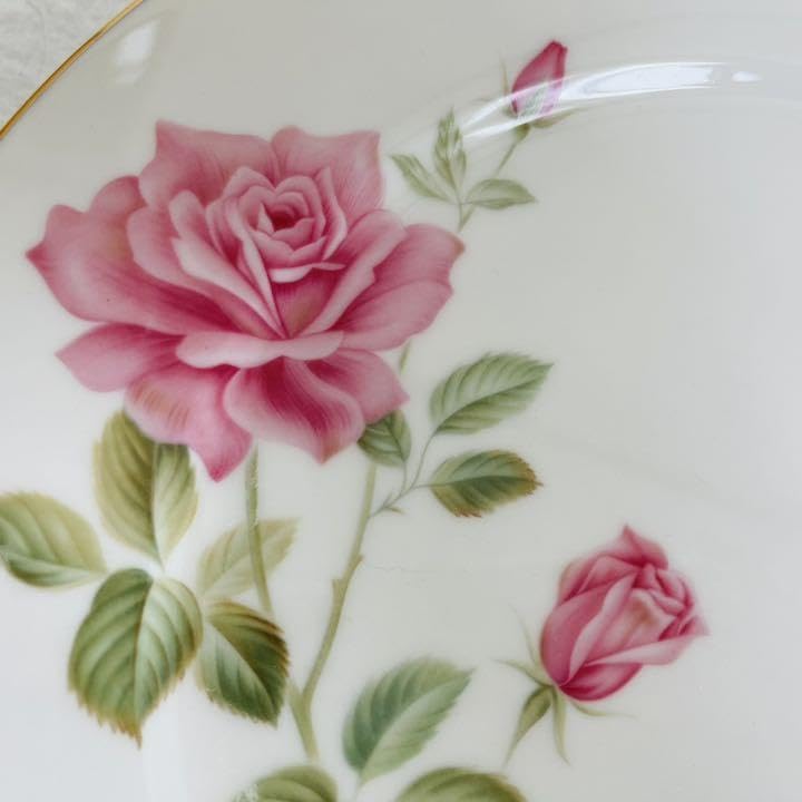 Amazon.co.jp: オールドノリタケ Nittoroyal Ivory 大皿(径27cm) 5枚 