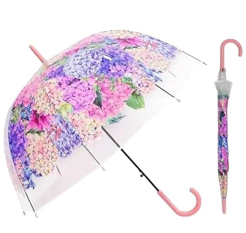 V vX`bNPPPwPAWTCvgfB[XyʐJpPKX@ێP^b`J[v[gʋΒʊwvZXʐ^Be (sN, 1)