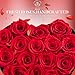 Impouo 16-Piece Preserved Rose Birthday Gifts for Women, Eternal Rose Preserved Flowers for Delivery Prime Mothers' Day, Valentine's Day, Christmas, Birthday - Red Roses