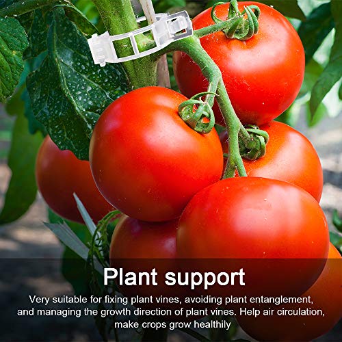 200PCS Plant Support Garden Clips, Vegetable Tomato Supports Trellis Clip Tape for Climbing Crop Vine Twine String Cage Ties Stakes, Grow Strawberry Rose Grape Cucumber Orchid Pea Pothos Melon Tree - Image 5