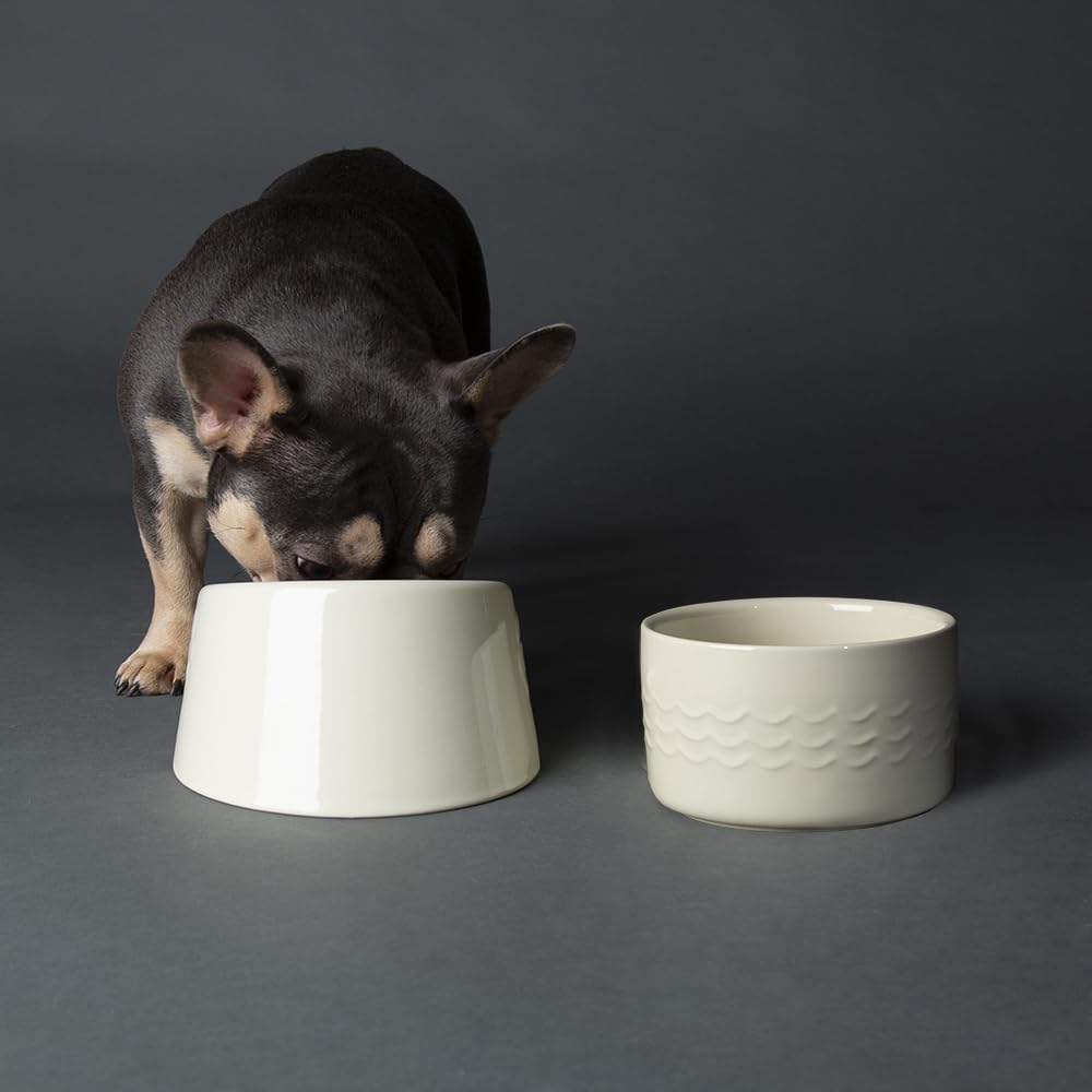 Scruffs Icon 2 Piece Flat Faced Dog Bowl & Water Bowl - 15cm | 18cm - Cream