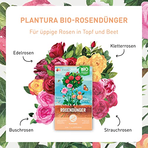 Plantura Bio Rosendünger mit 3 Monaten Langzeitwirkung, 1,5 kg, für prächtige Rosen in Beet & Topf, Bio-Qualität, gut für den Boden, unbedenklich für Haus- & Gartentiere – Bild 4