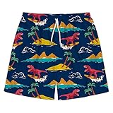 LLDYYDS Dark Blue Swimming Trunks for Men Long Quick Dry Swim Shorts Shorts with Compression Liner M