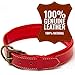 Logical Leather Padded Dog Collar - Best Full Grain Heavy Duty Genuine Leather Collar - Red - Large