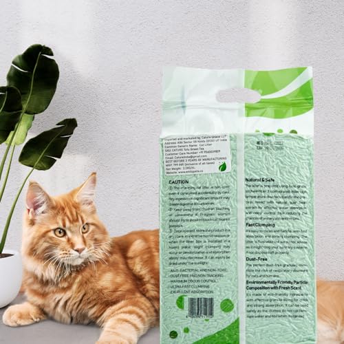 Image of Cature Care by Nature Tofu Cat Litter Natural Flushable Clumping Litter Plant Based Biodegradable Ultra Odour Control 99% Dust Free Low Tracking Cat Litter (Green Tea, 6L)