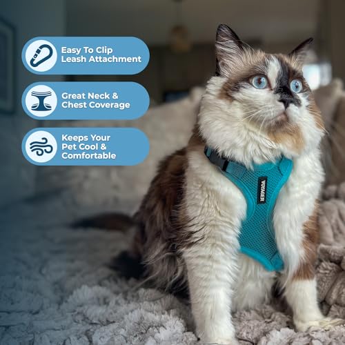 Image of Voyager Escape-Proof Step-in Lock Cat Harness & 5ft Neoprene-Handle Leash Set All-Weather Mesh with Reflective Stitching for Small to Large Cats by Best Pet Supplies, Turquoise, S