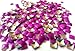 100pc Square Hot Neon Metal Studs 3mm 3D Acrylic Nail Art Decoration Cellphone Case USA SELLER! FAST SHIPPING! (Neon Purple)